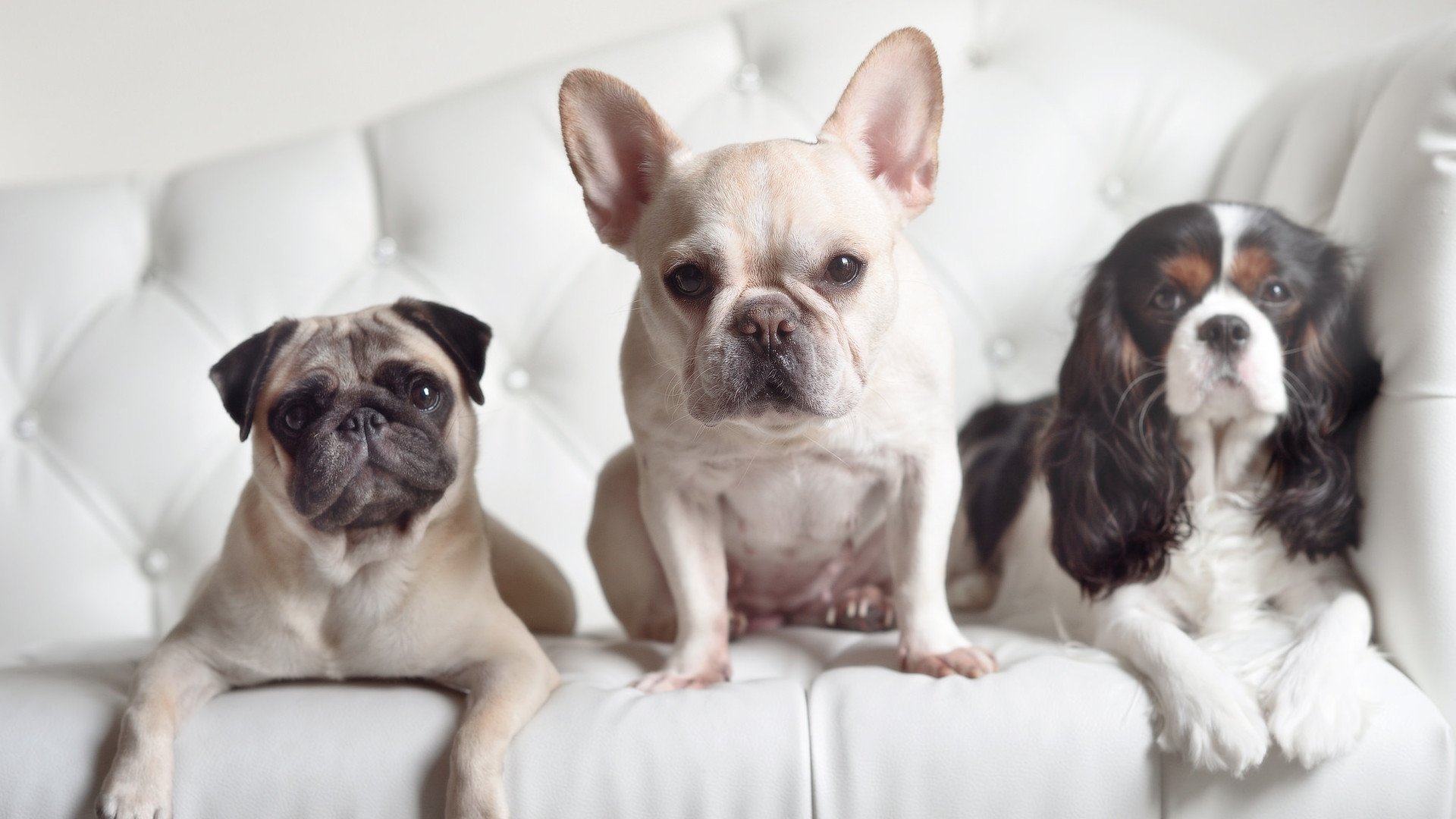 LeyuSports-全国青少年“拼搏青春”篮球技能大赛在杭州全面展开，发掘更多潜力股