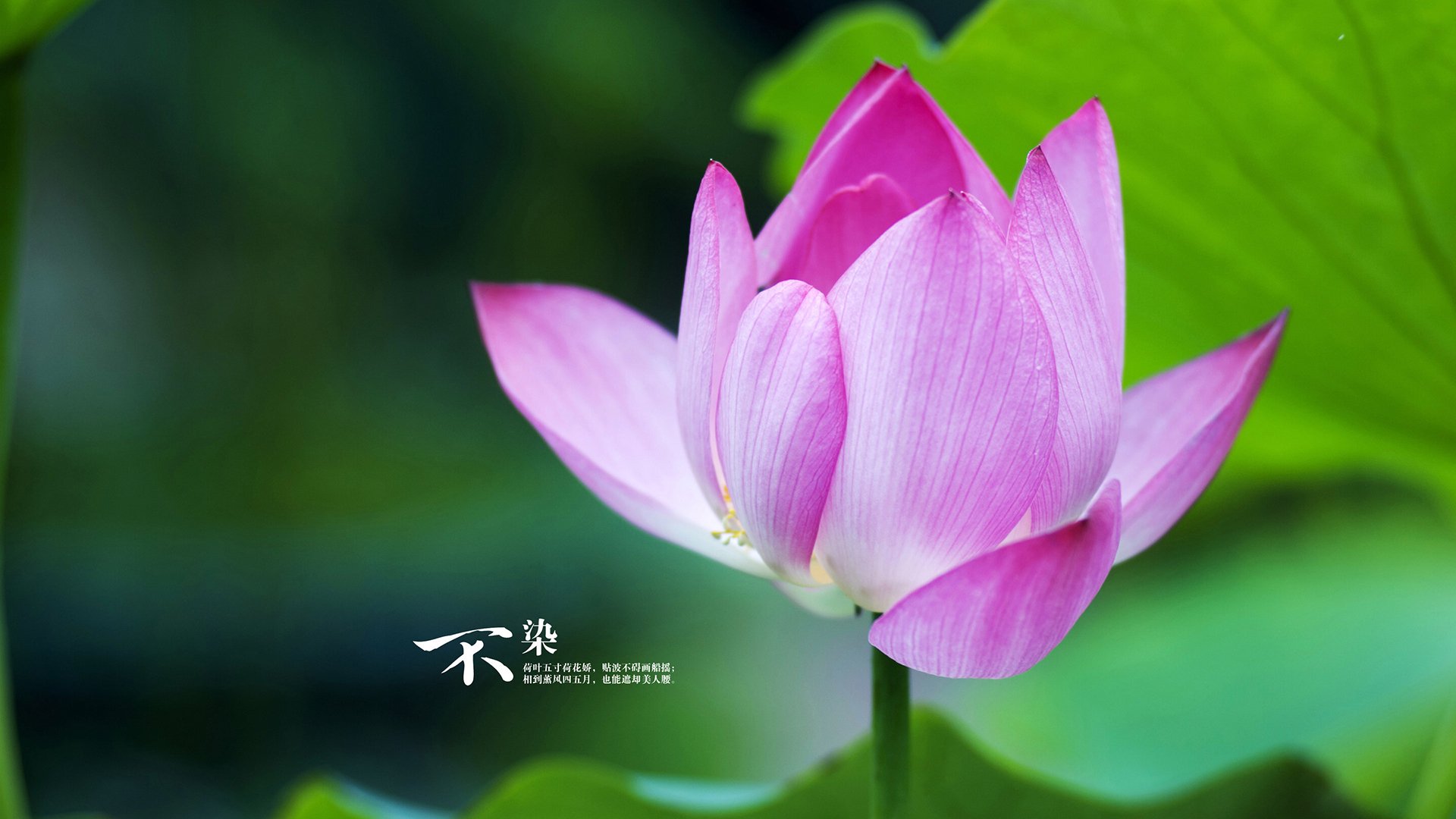 乐鱼电竞· (中国)官方网站-阿根廷反曲弓射手刷新国家纪录，迎接国际挑战，akusta反曲弓