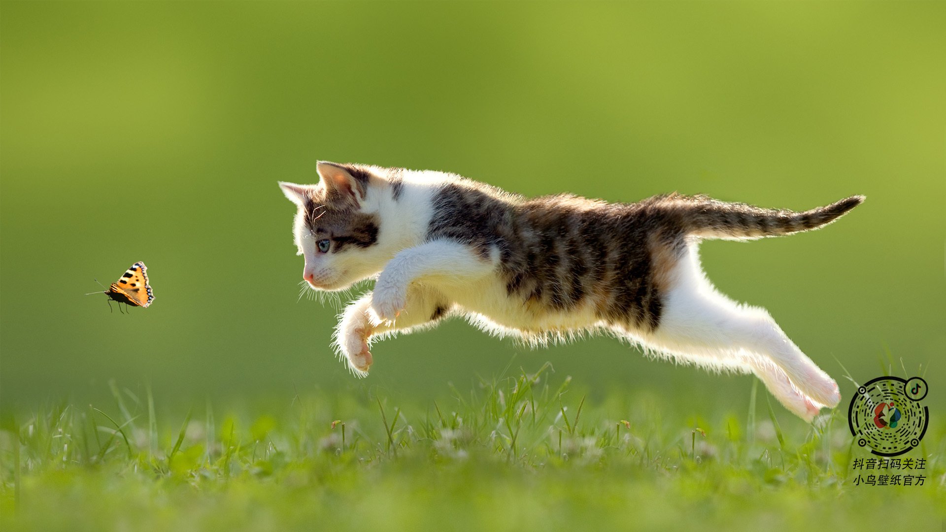 中超联赛球员表现全面出色,技战术配合默契,中超各队人员名单