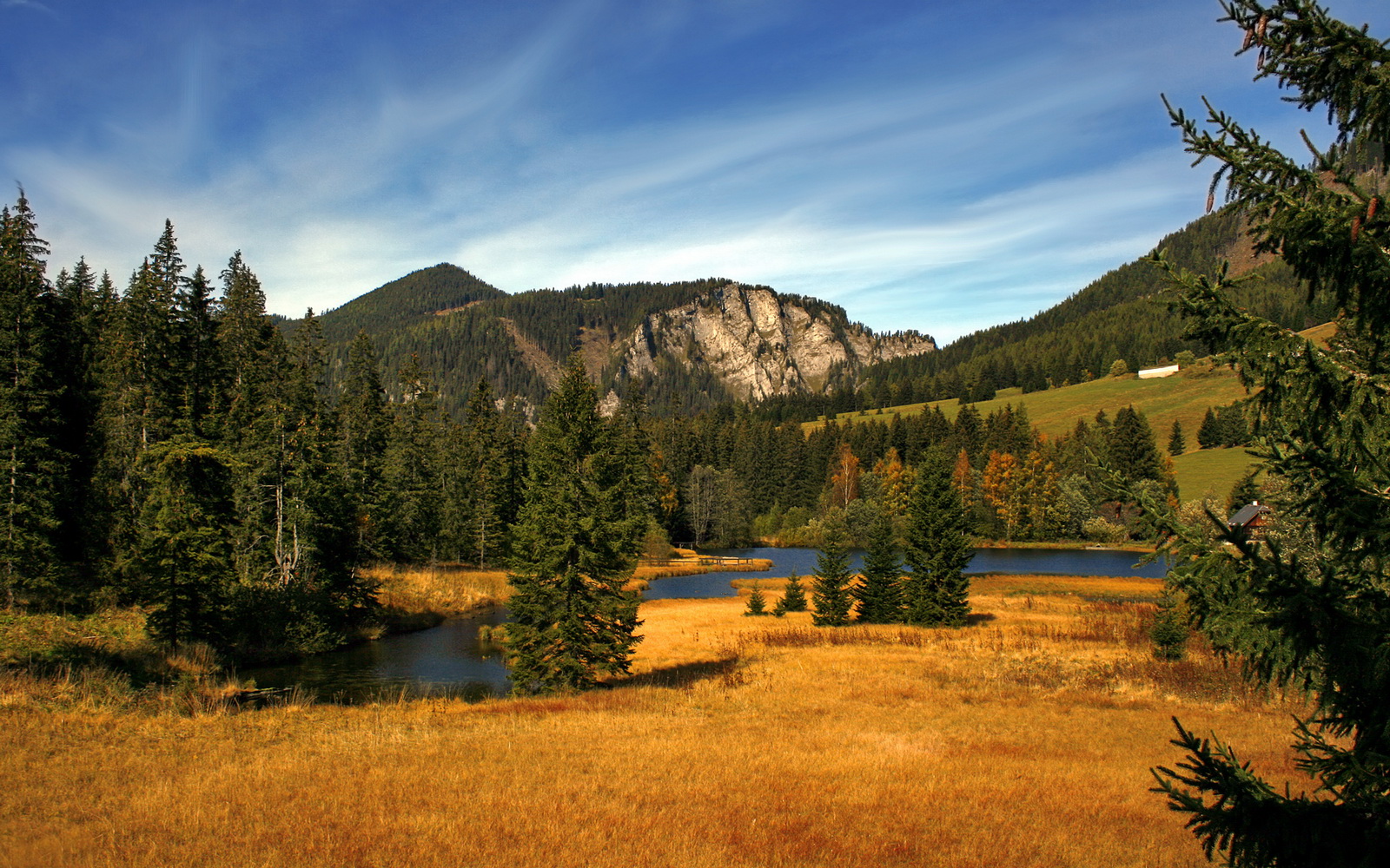 电竞游戏反作弊技术最新进展及职业比赛应用分析,电竞职业选手作弊处罚
