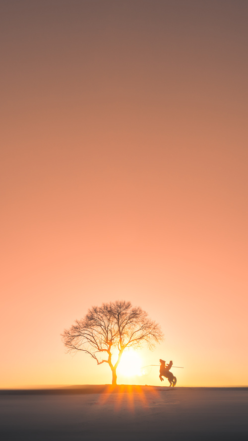 精彩的足球比赛,看谁能一路领先获胜!,精彩的足球比赛怎么写作文