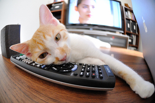 评论：亚特兰大力挫对手，晋级欧冠四强！，亚特兰大 欧冠四强