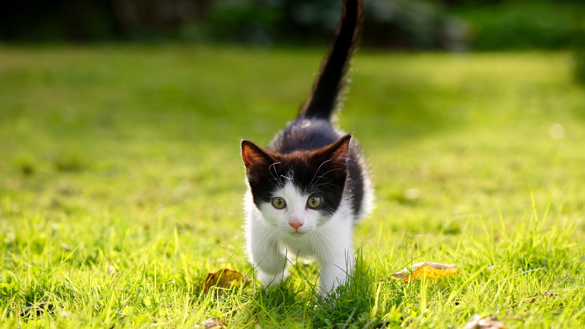 体育场馆票务系统安全性研究,体育场馆安全管理办法