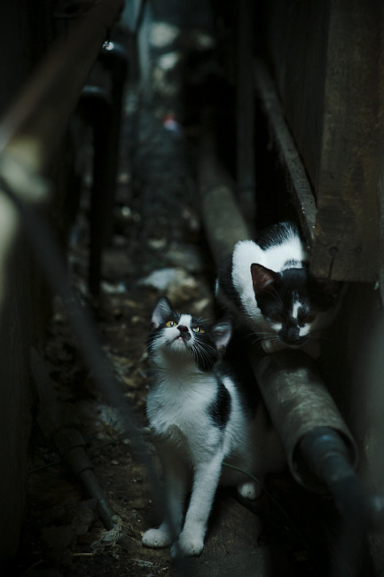 世界杯中国青年队爆冷 球迷情绪复杂,世界杯中国队出现