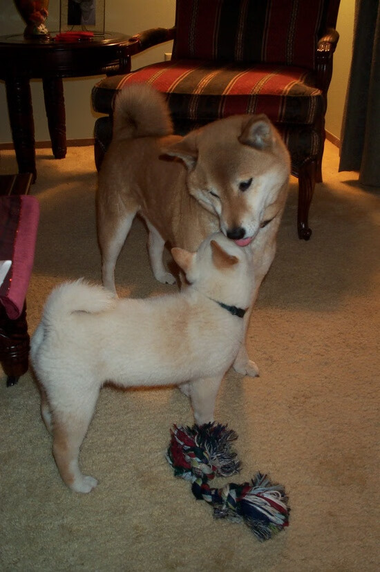 乐鱼官方登录入口-中国男篮加强攻防转换 球队节奏更加流畅，中国男篮专用篮球