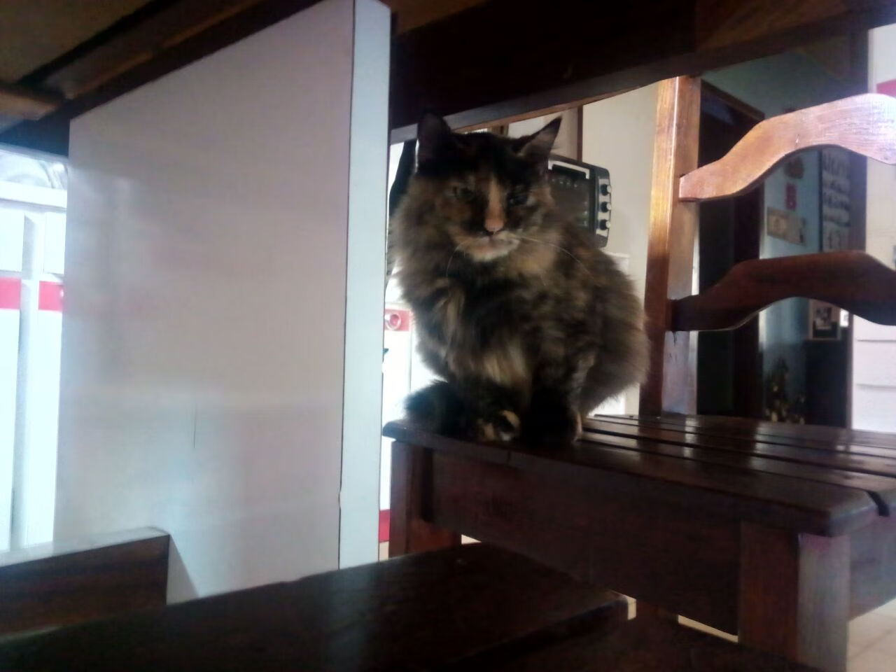 五大联赛争冠球队是否比保级球队更依赖控球节奏,五大联赛榜首