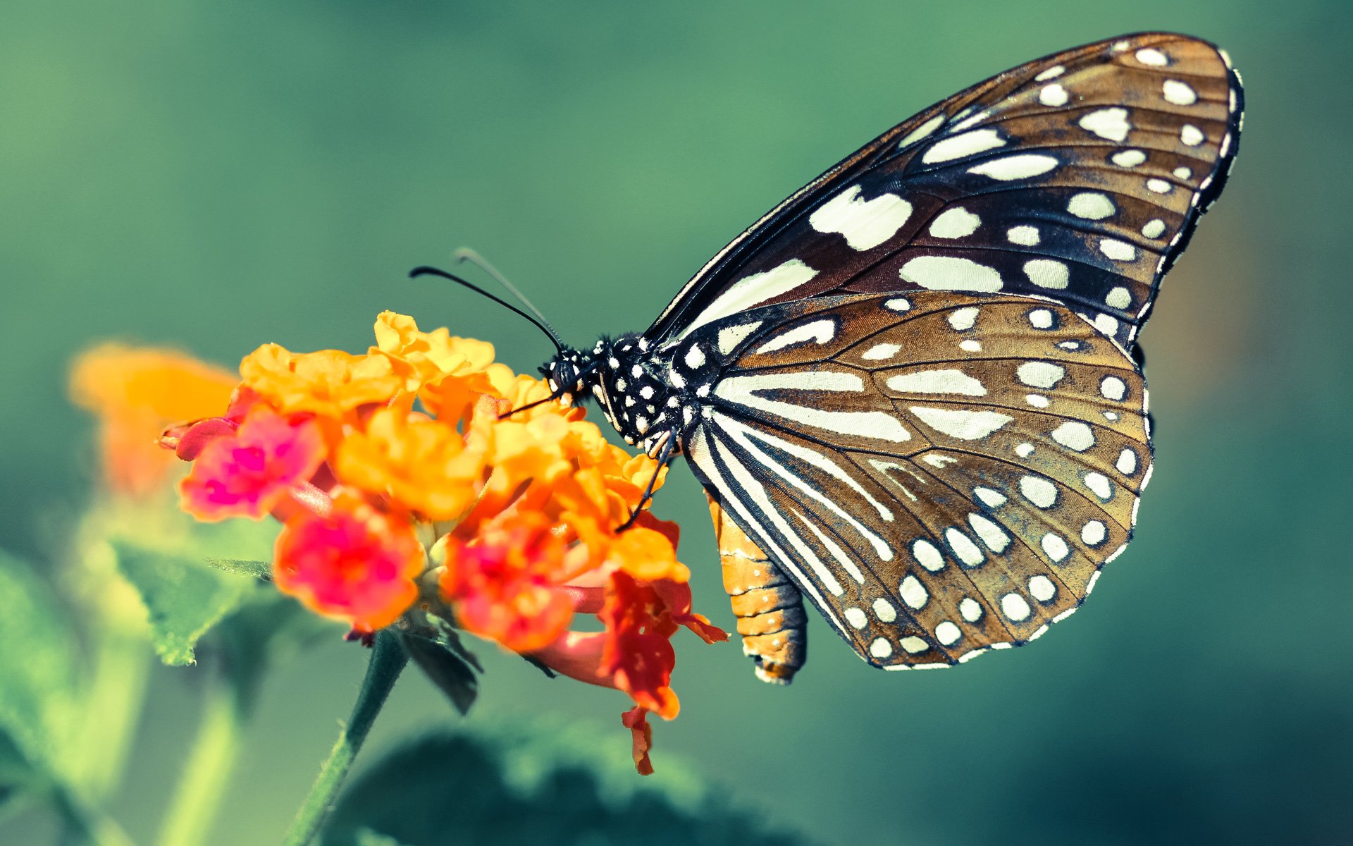 国际热身赛中国青年队复仇 球迷热议不断,国家队热身赛