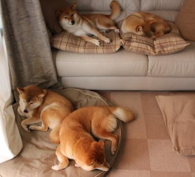 女子短自项目稳扎稳打,女子短跑训练方法