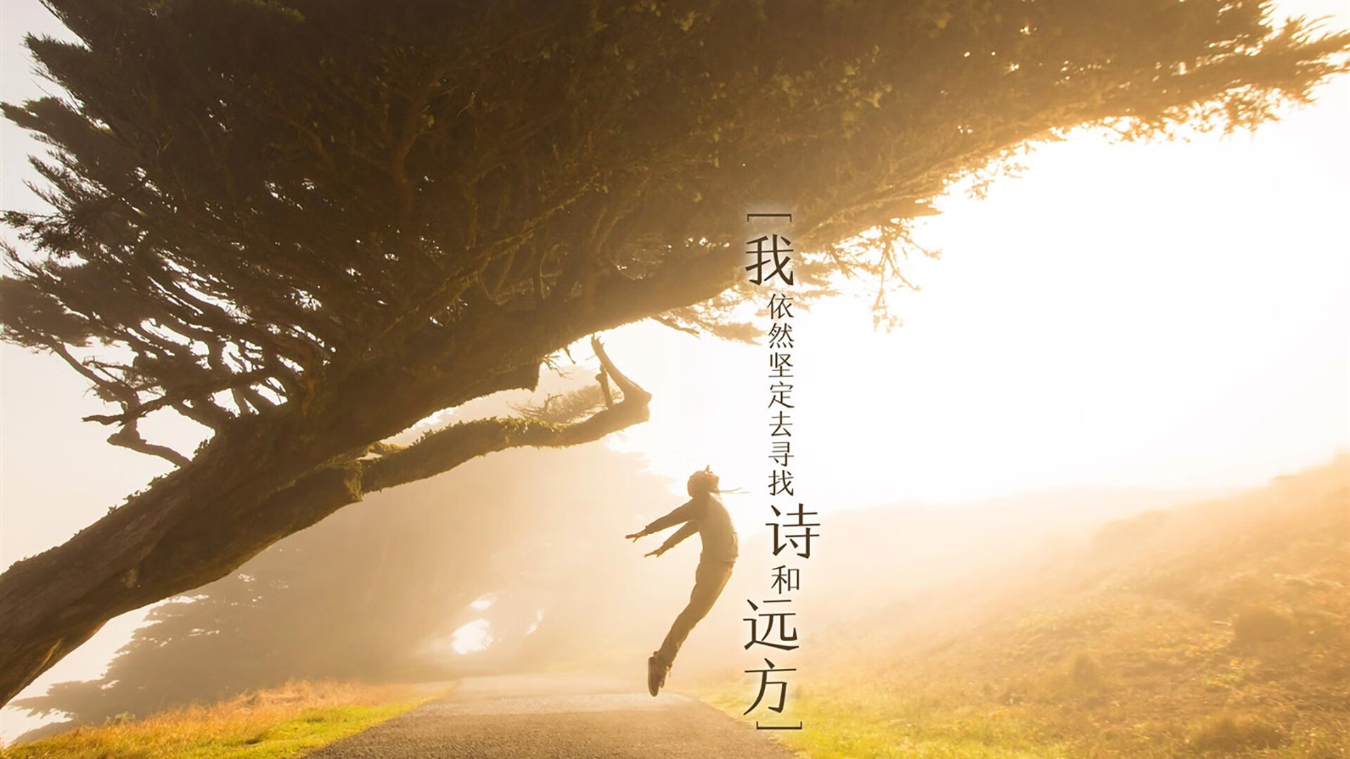 leyu乐鱼在线登录入口-皇家社会传控细腻突破防线密集，皇家社会在哪