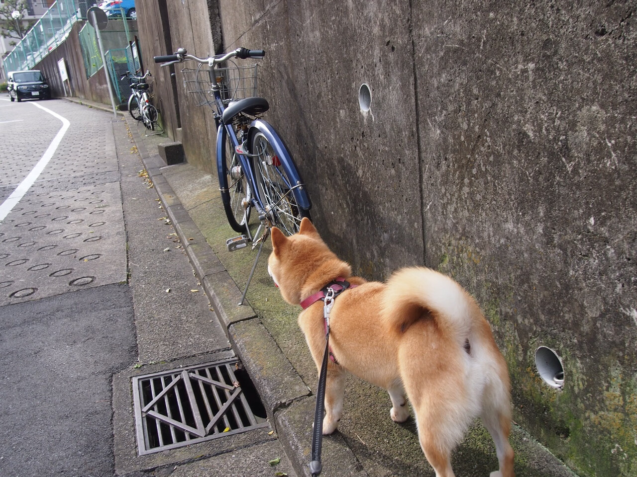 胜利巩固中游排名，继续保持良好势头。，巩固胜利是什么短语