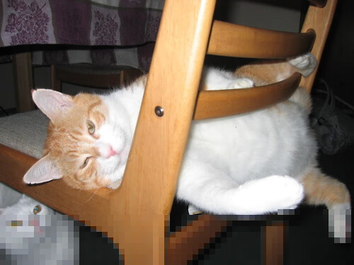 森林狼球员参与社区公益活动传播正能量，森林狼俱乐部