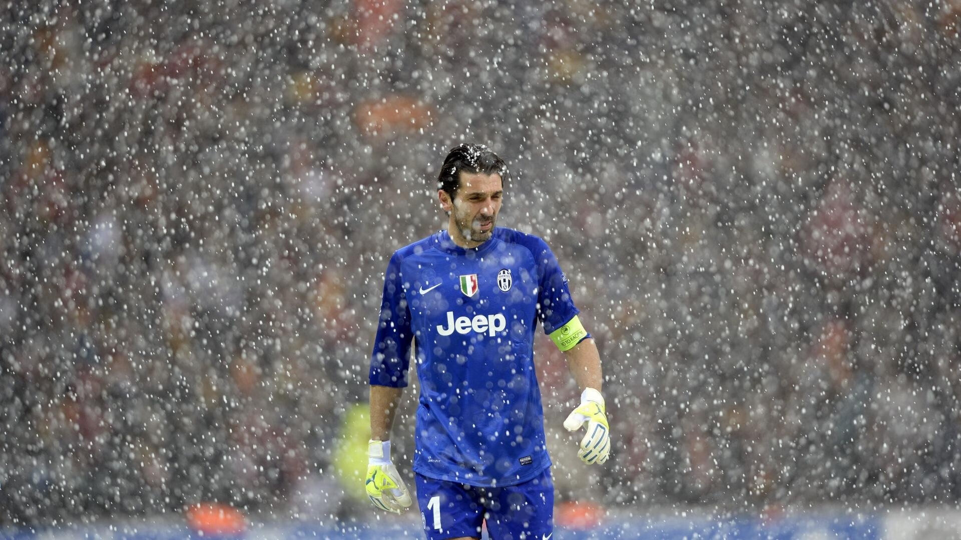 乐鱼（LEYU）体育-WRC粉丝狂欢：现场氛围与观赛体验，crew粉丝