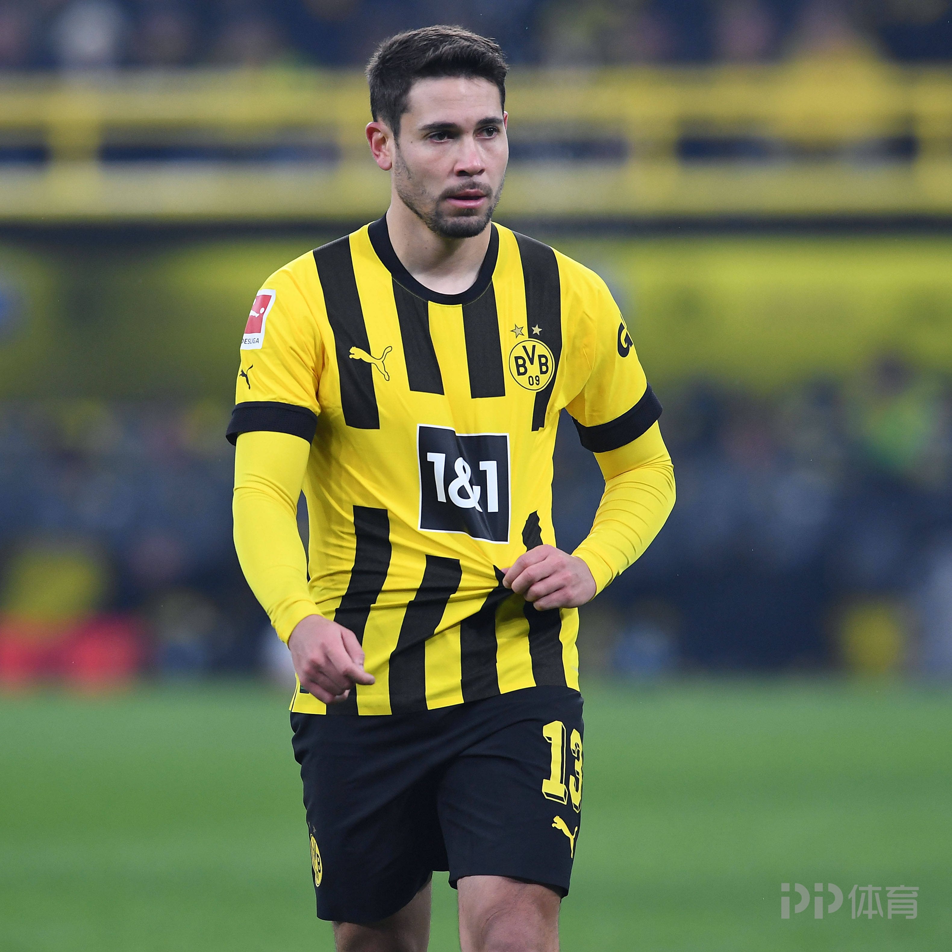 LEYU乐鱼体育官方网站-乐鱼体育:德甲的结果导向：如何实现目的与过程的平衡的简单介绍